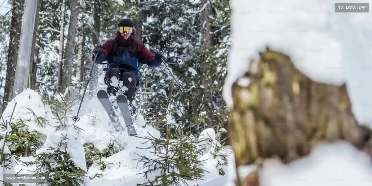 行业领先的理由